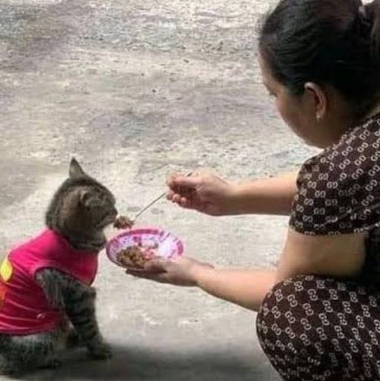 𝔀ₐₙ𝔀ₐₙ tweet media