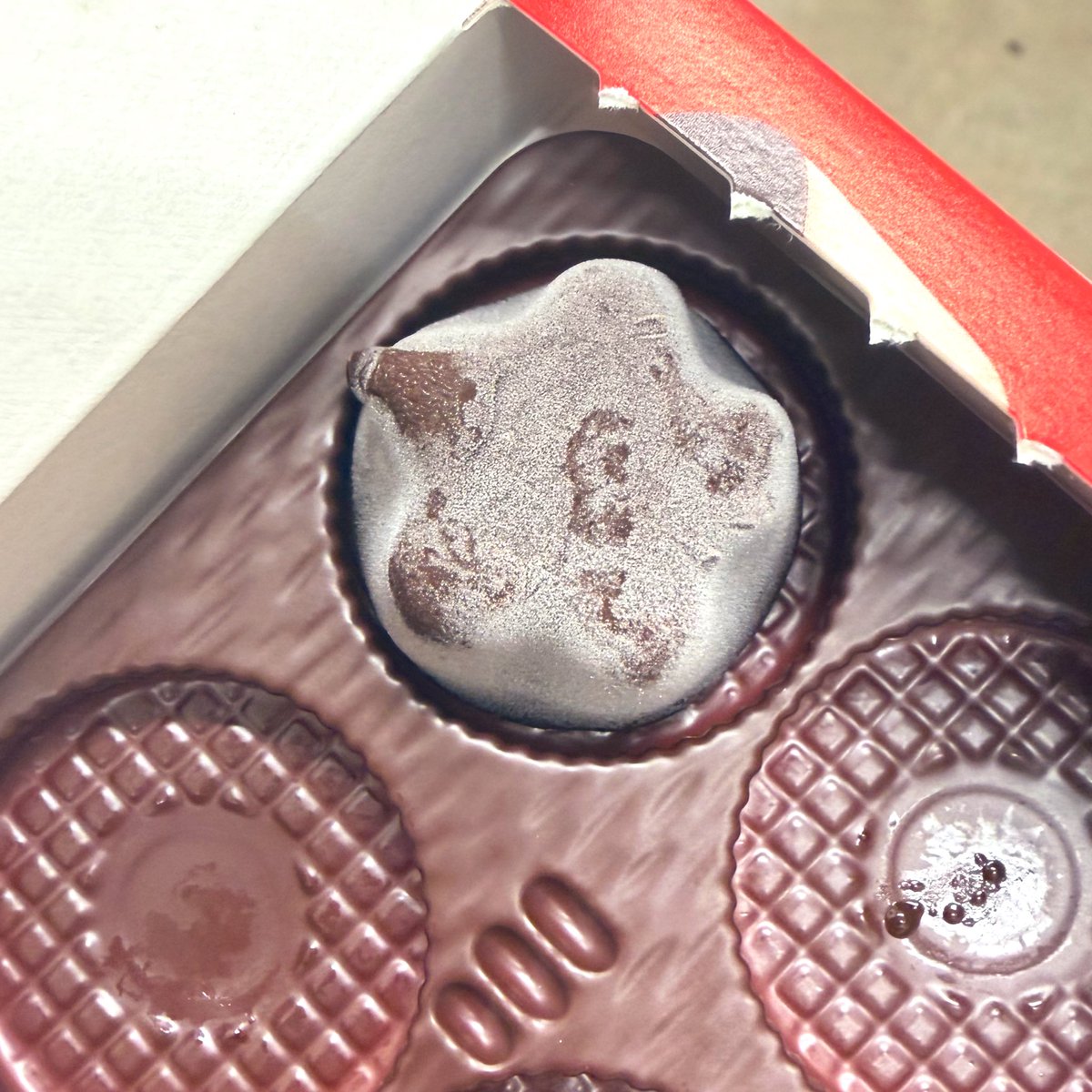 今日ラッキーかも🫪