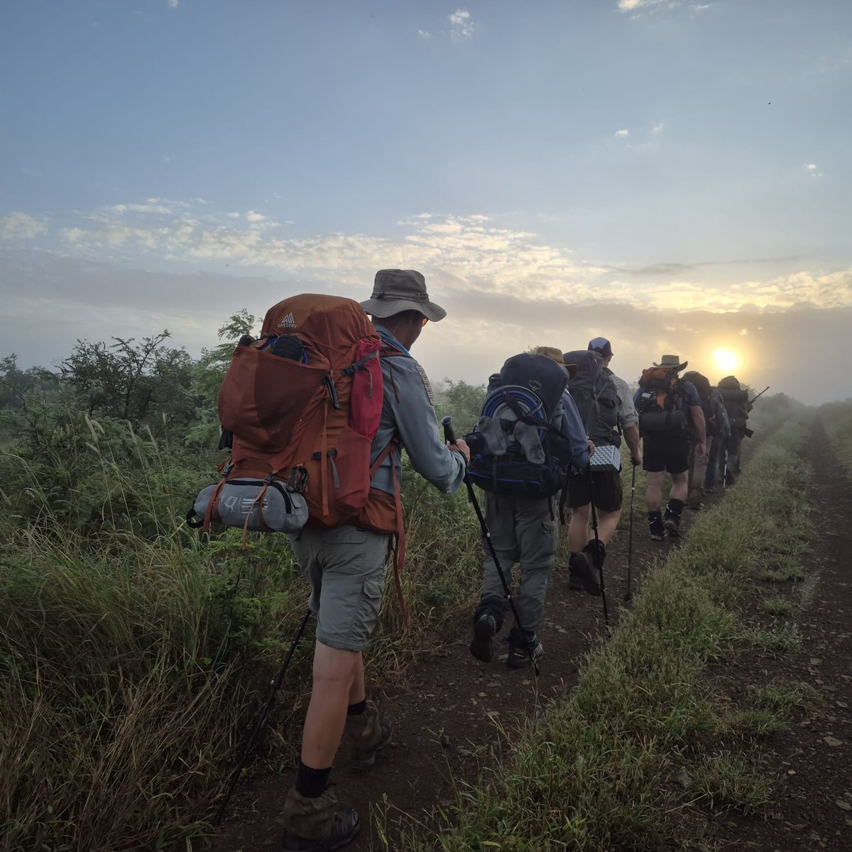 The Barefoot Guide tweet media