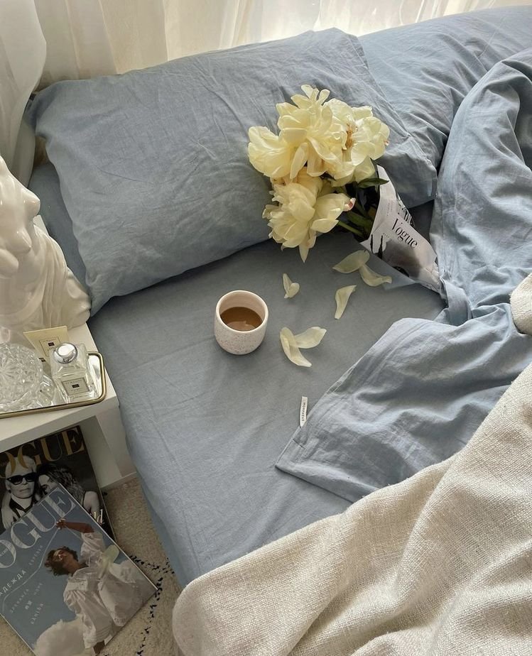 stella 🕊️ tweet media