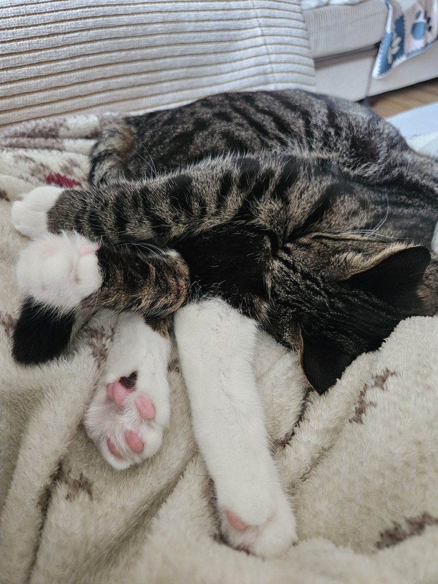 뽁주💙 tweet media