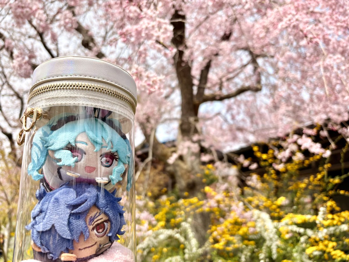 みきひさ tweet media