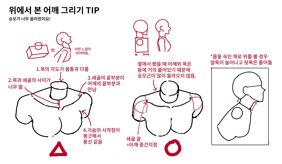 SAEKANG | RAUM tweet media