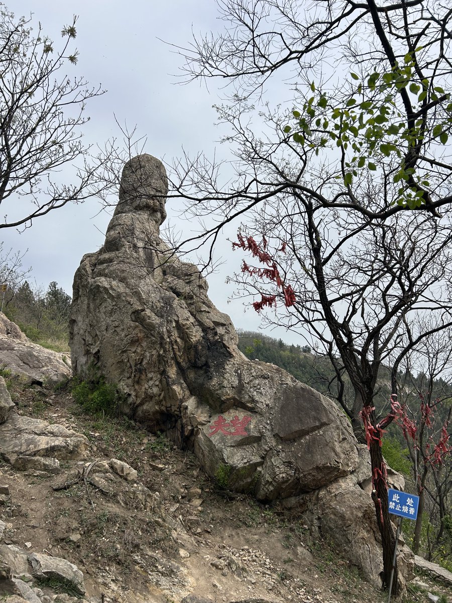 愤怒的二锅头 tweet media