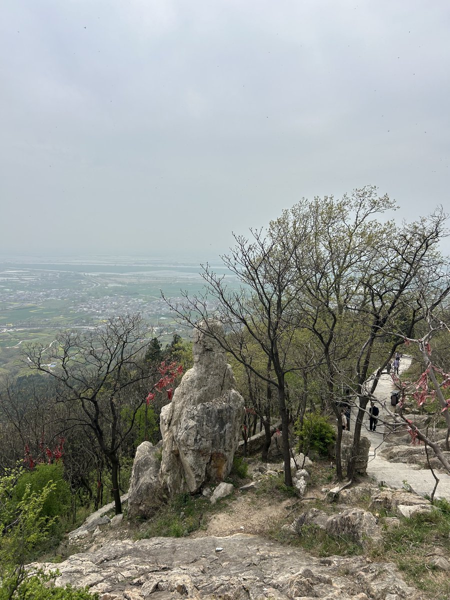 愤怒的二锅头 tweet media