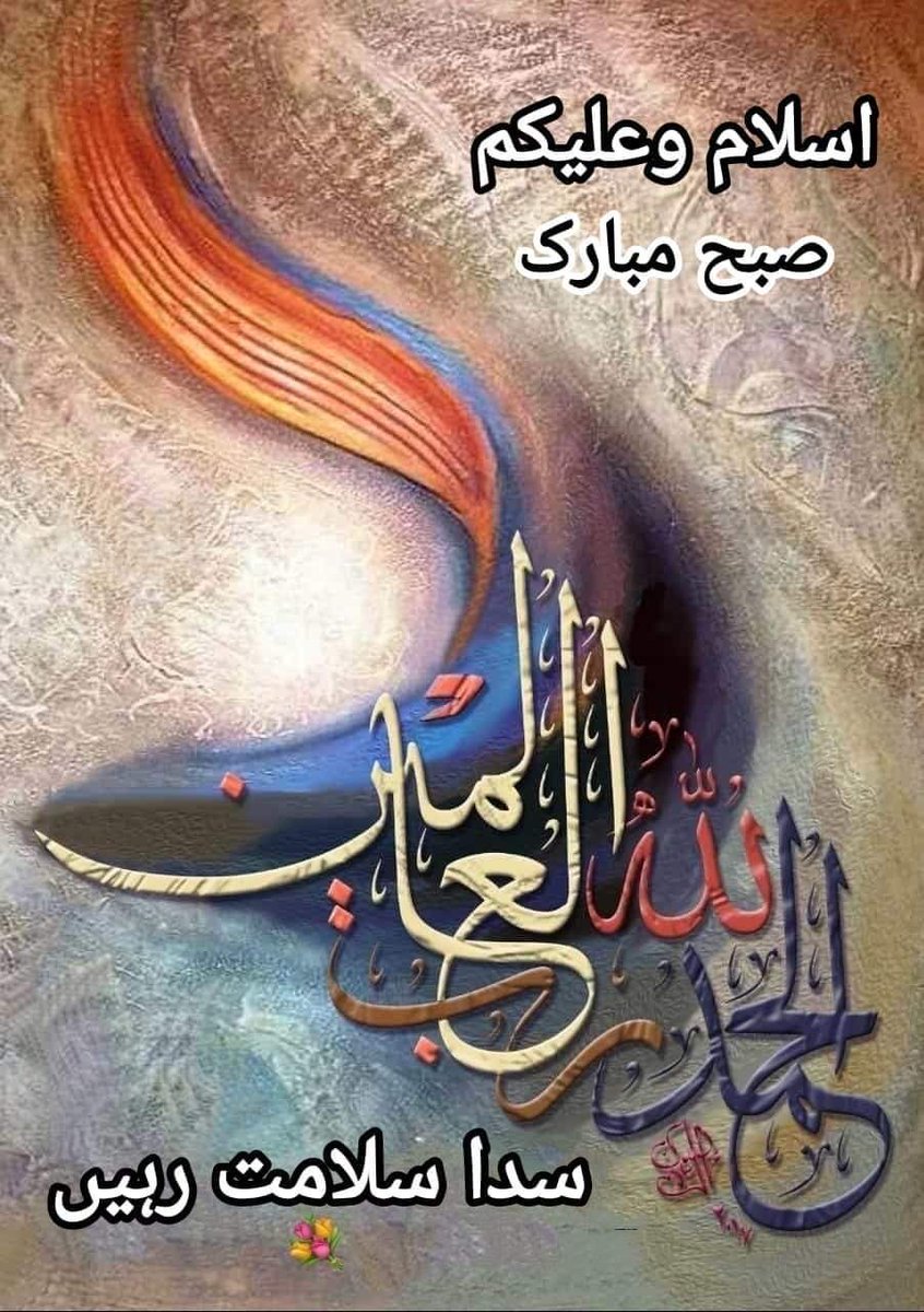 Shaley Mughal❤️ tweet media