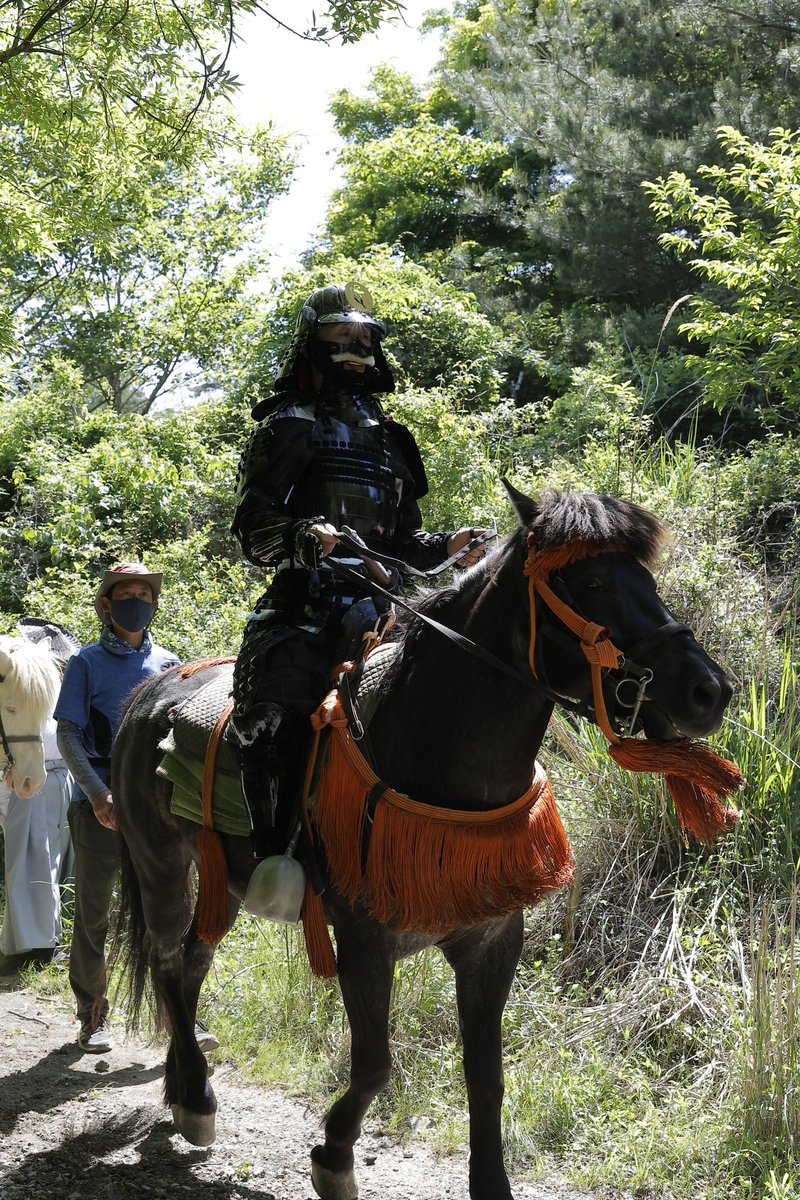 ケサギリ＠なんか南の西 tweet media