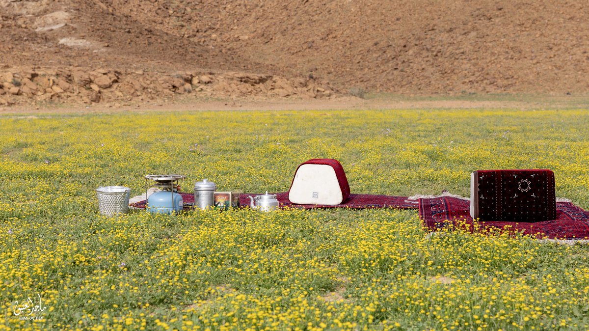 ماجد العتيق tweet media