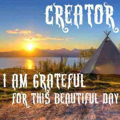 YaNative's tweet image. #YaNative