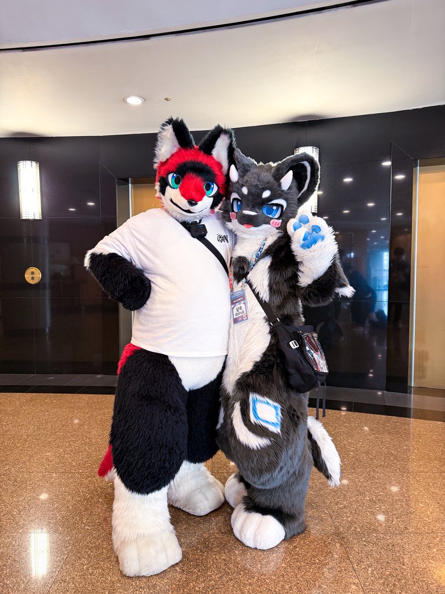 달룩 DALRUK tweet media