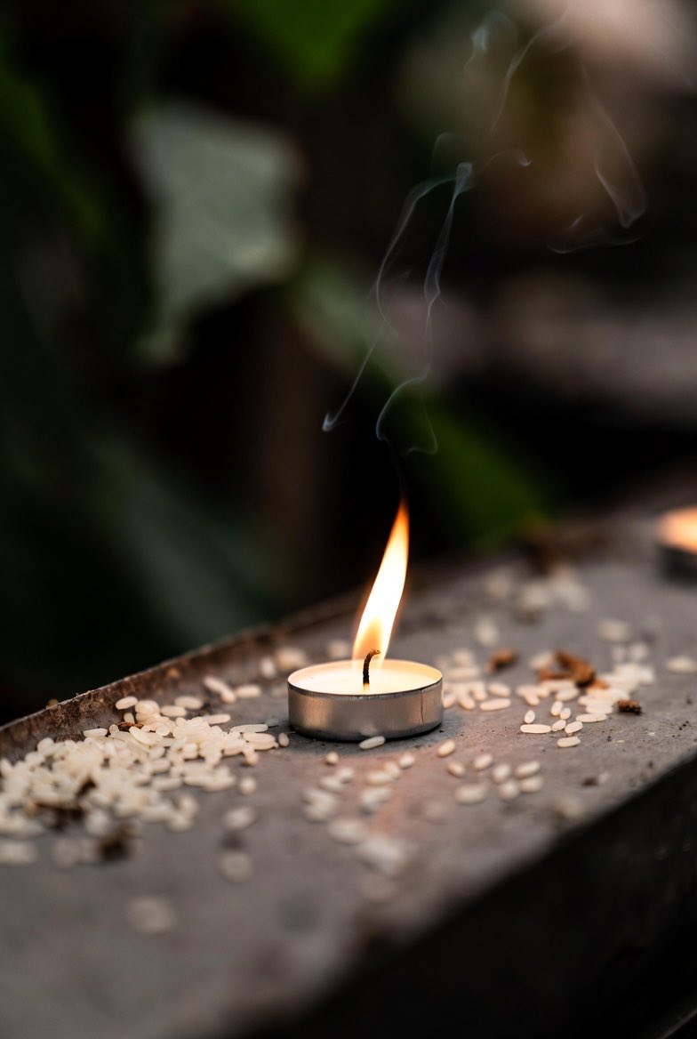 The Brothers tweet media