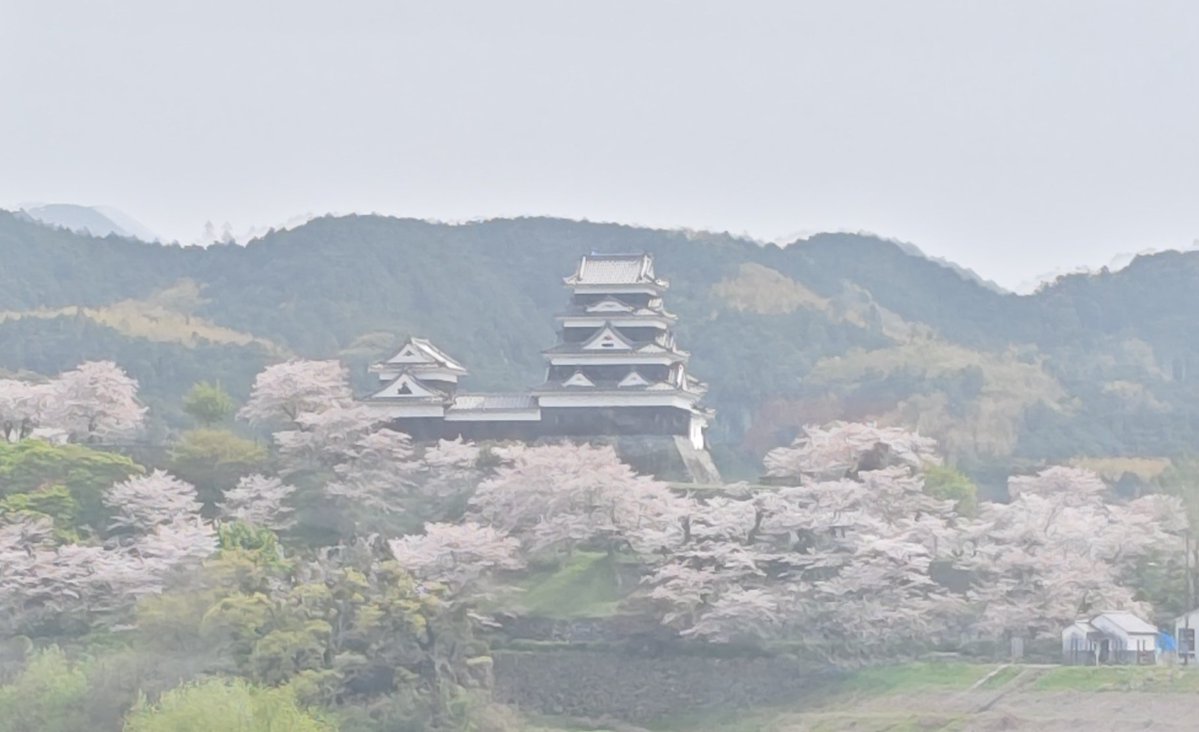 ｱｶｼｱ星留 tweet media