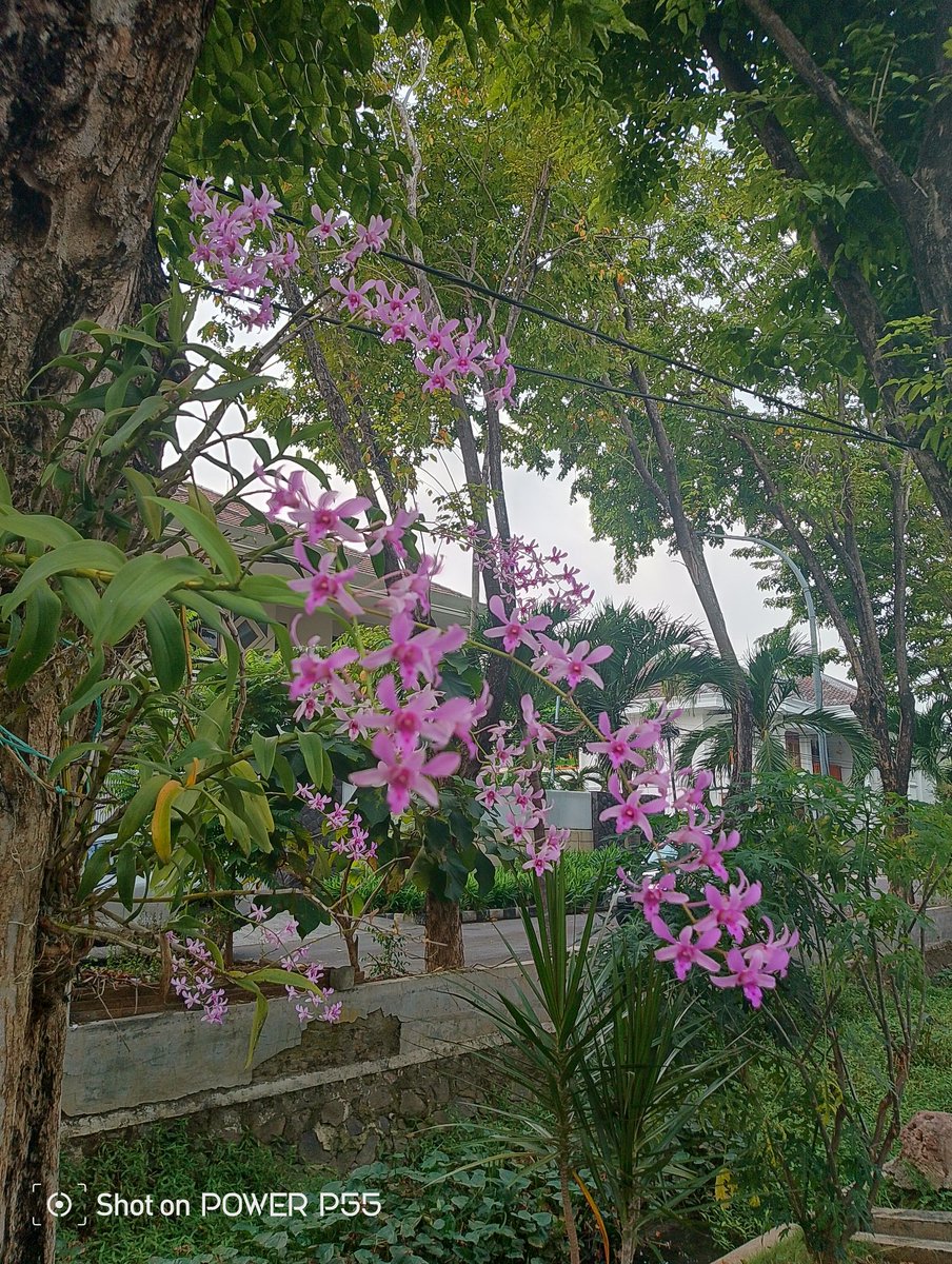 Parkdeesoe 🍀🌟💫 tweet media