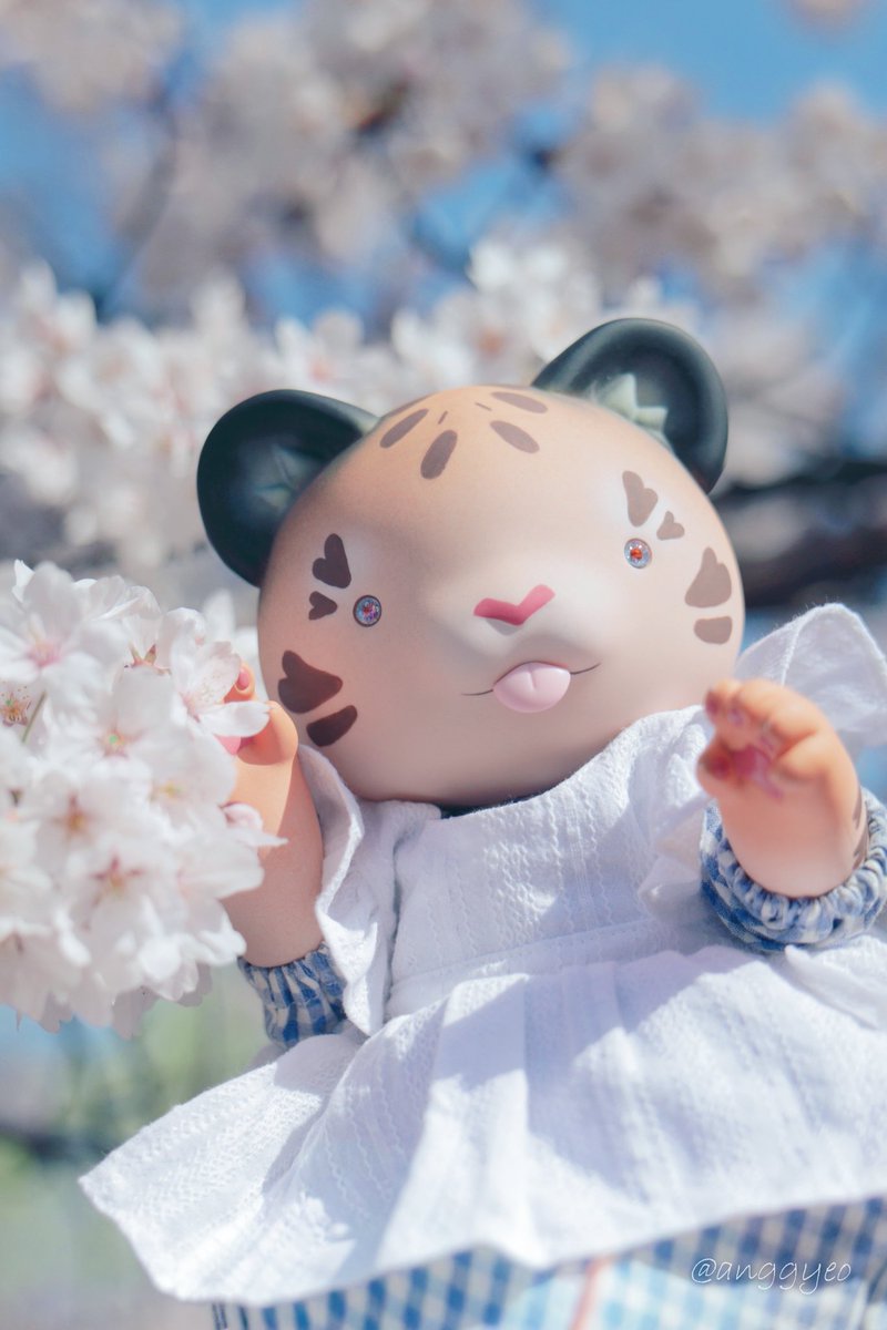 겨즈🐻 tweet media