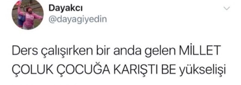 Academic Adventure tweet media