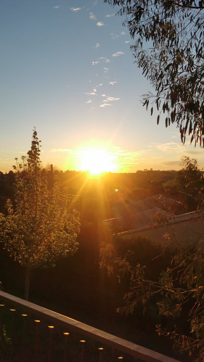 Benjamin Cauchy tweet media