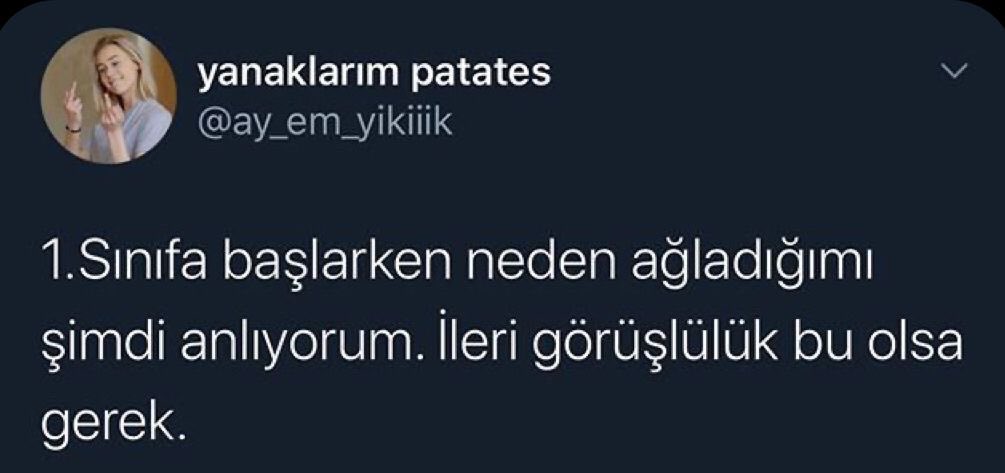 Academic Adventure tweet media