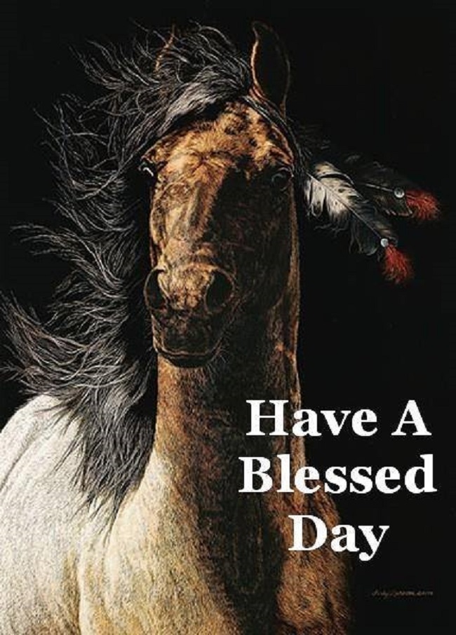 YaNative's tweet image. #YaNative