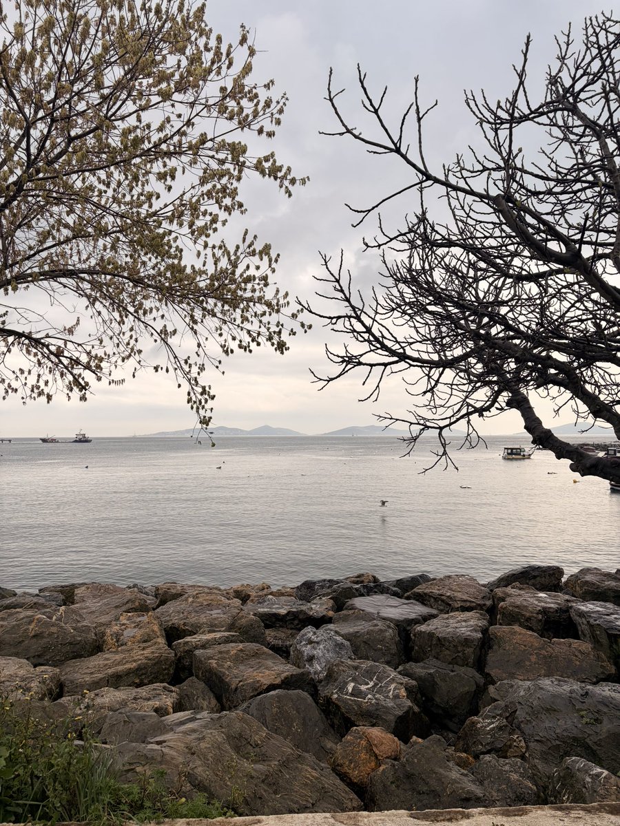 💐💫Zeynep🌸💫 tweet media