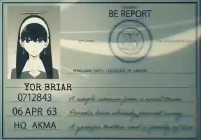 caz YOR DAY tweet media