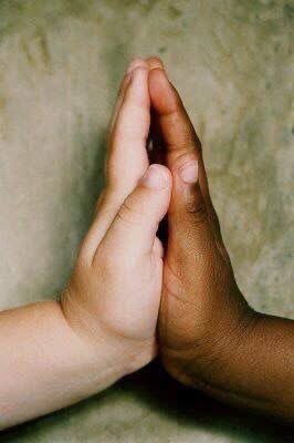 isabelle tweet media