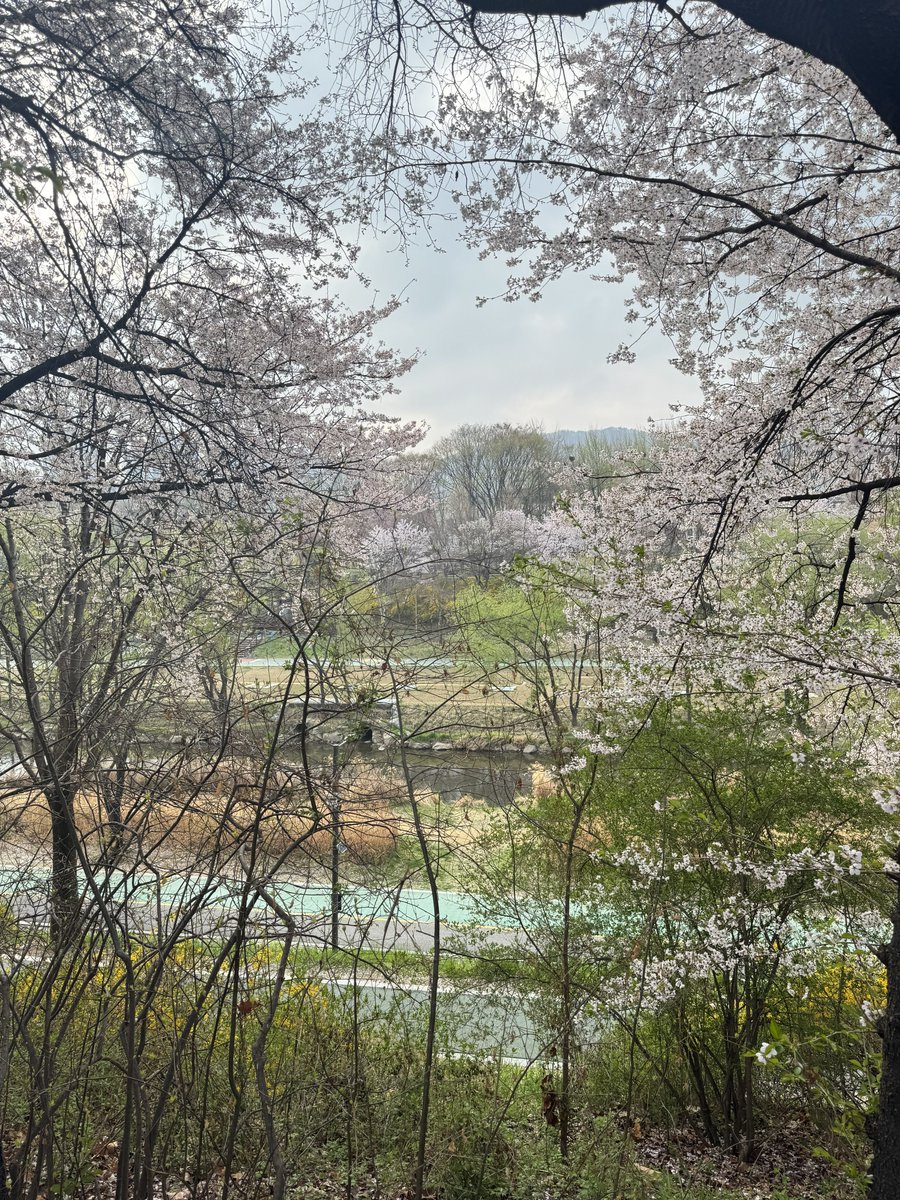 𝙎𝙪𝙯𝙯𝙮 🐉💛🌼 tweet media