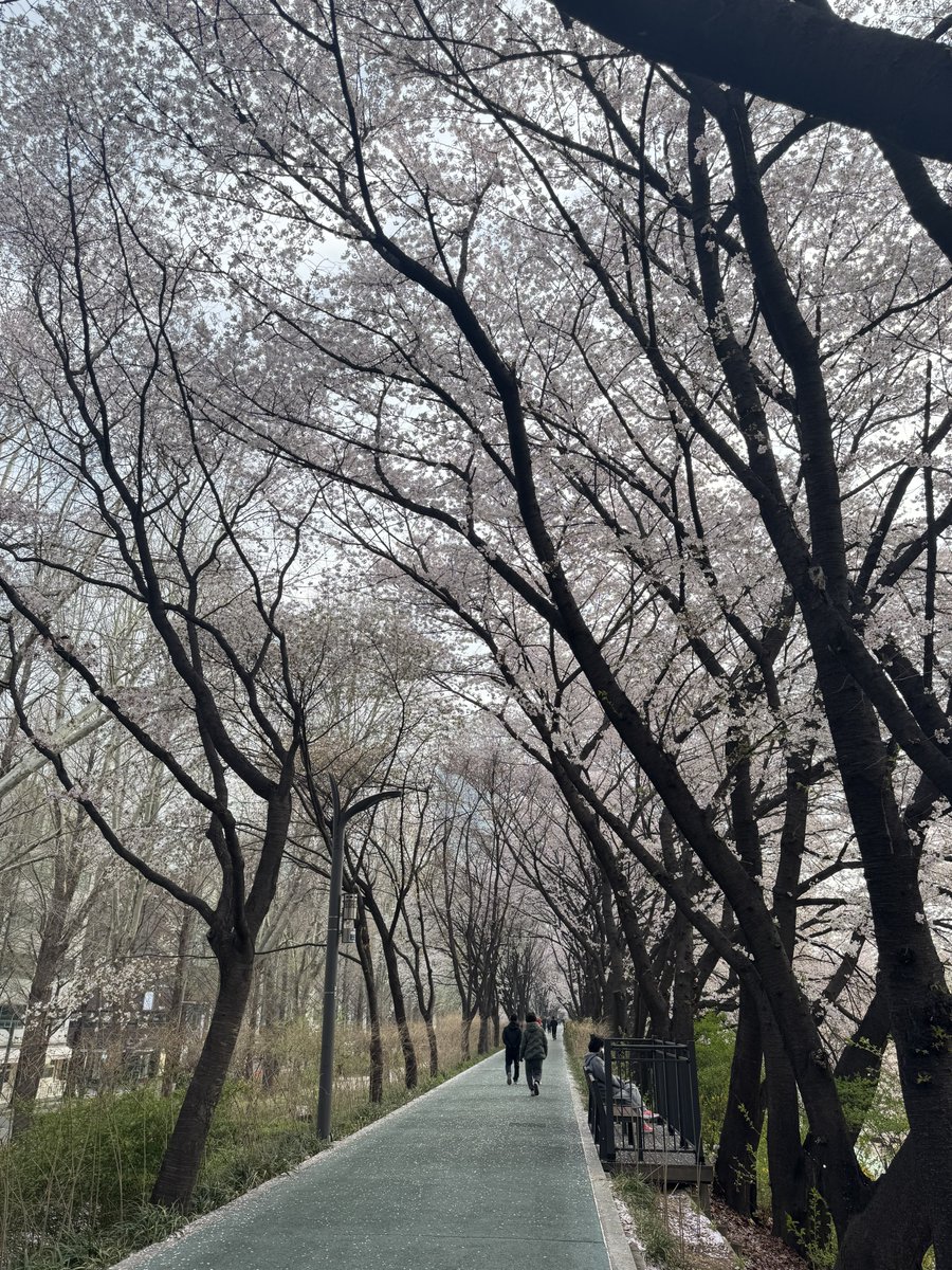 𝙎𝙪𝙯𝙯𝙮 🐉💛🌼 tweet media