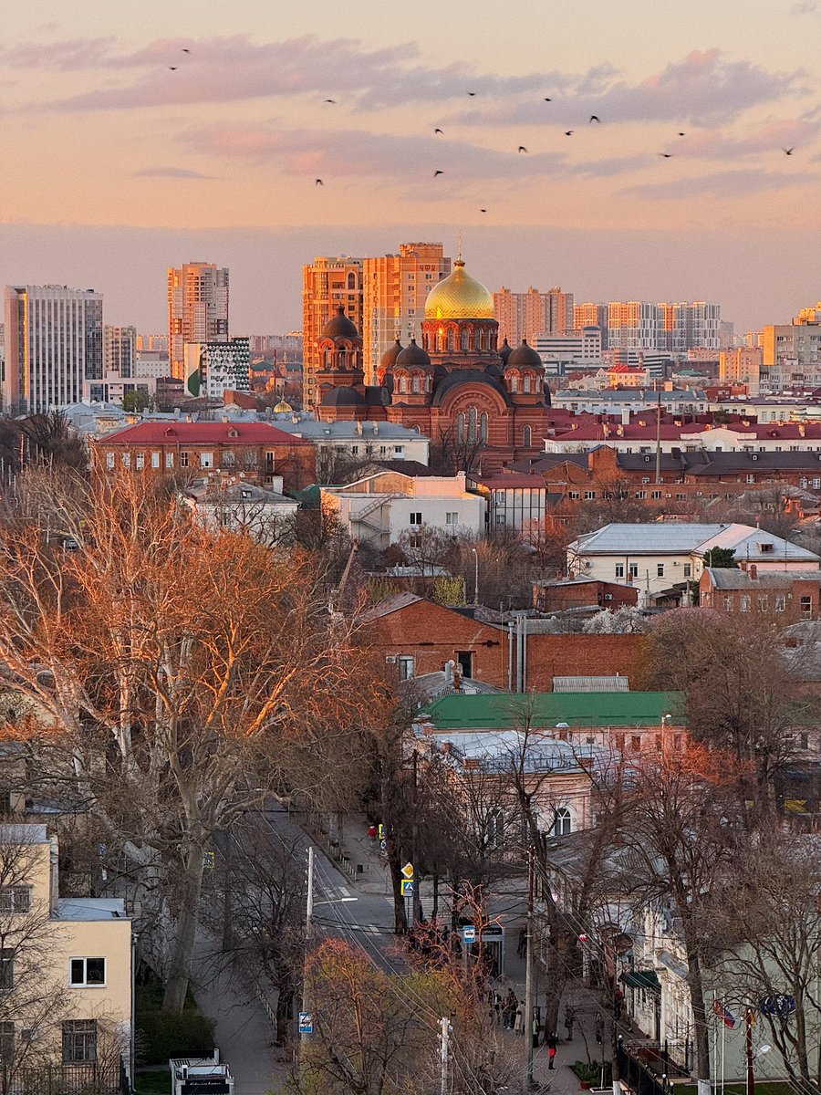 фуфендер tweet media