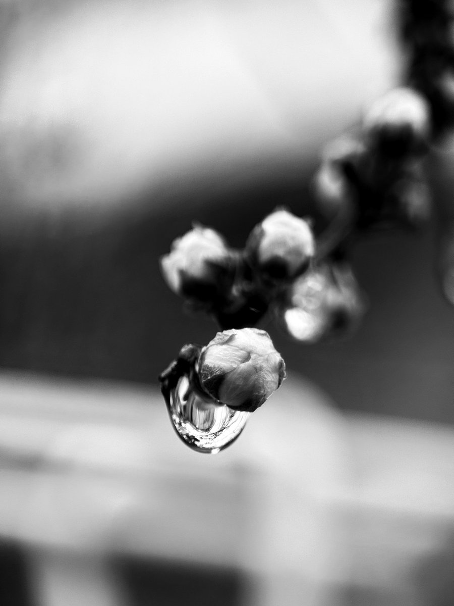 미틈달 초닷새🌱 tweet media