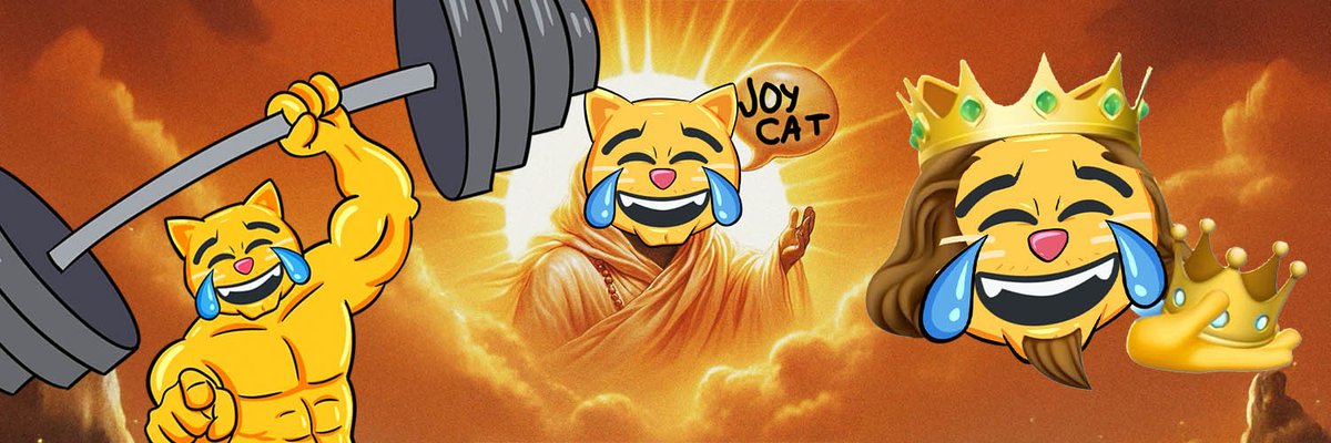 JOYCAT 🕶️ tweet media