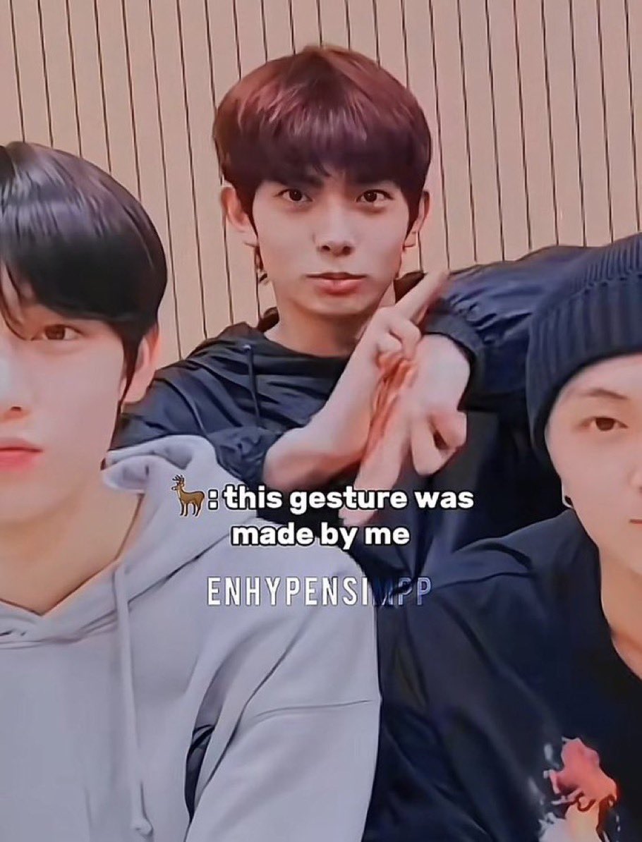 👼 sara tweet media