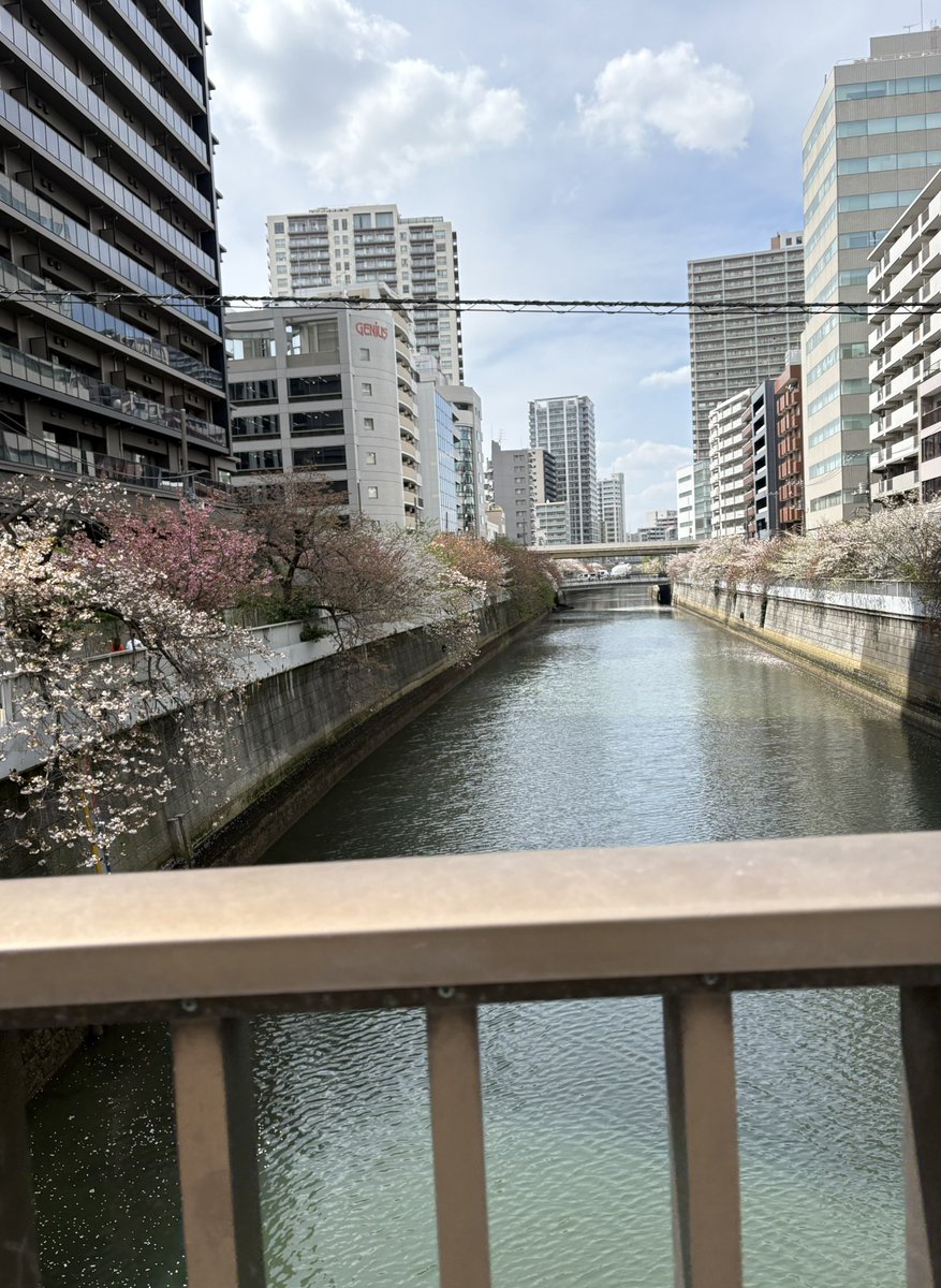 ℤ .🐾 tweet media