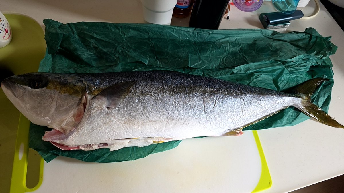 つなぐぅ tweet media