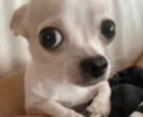 ིꩇׁׅ֪݊ ɑׁׅtׁׅtׁׅhׁׅ֮ꫀׁׅܻ݊ᨰׁׅ ུ𐤀 VERÁ A BTS🇲🇽 tweet media