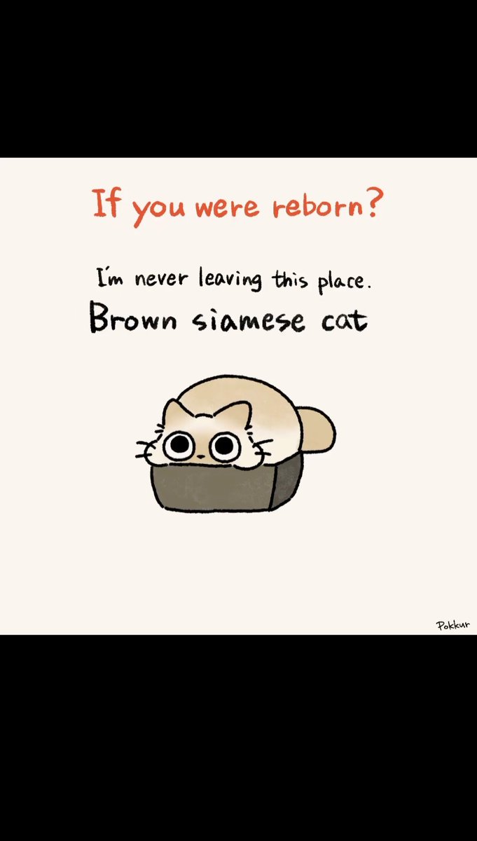 DEAD AND sym ¹¹⁹ tweet media