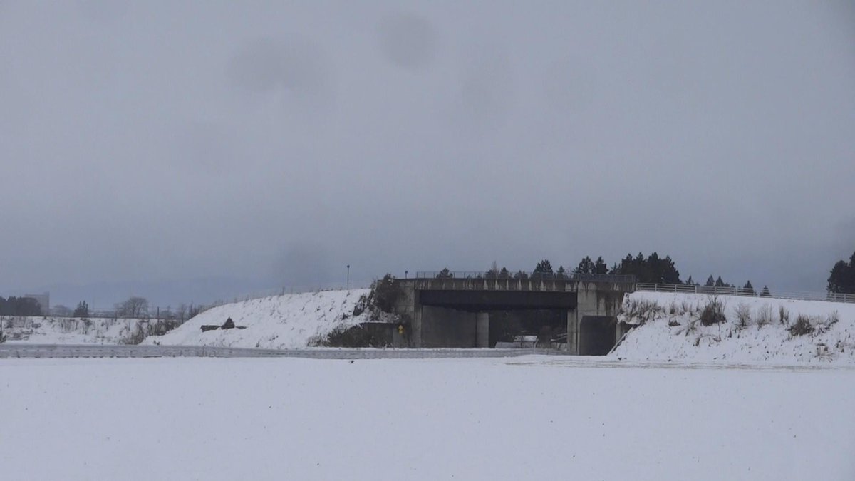 白黒Ｐ tweet media