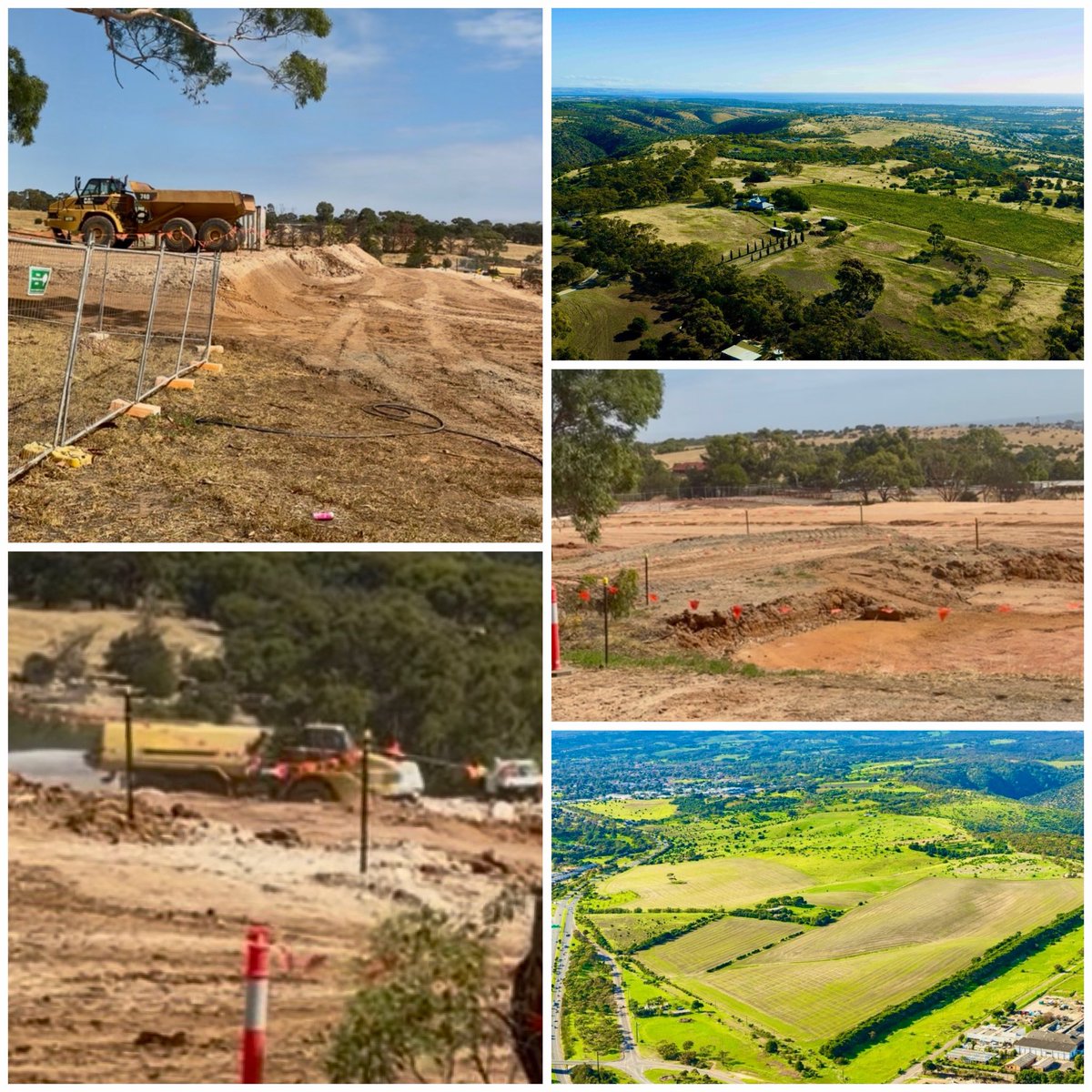 Nat Cook MP tweet media