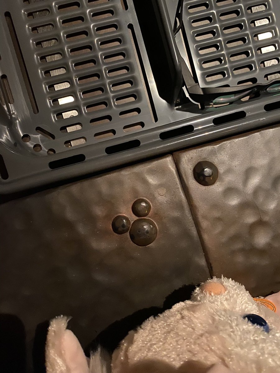 緑道亭てぃな🐚🏴‍☠️🖋 tweet media