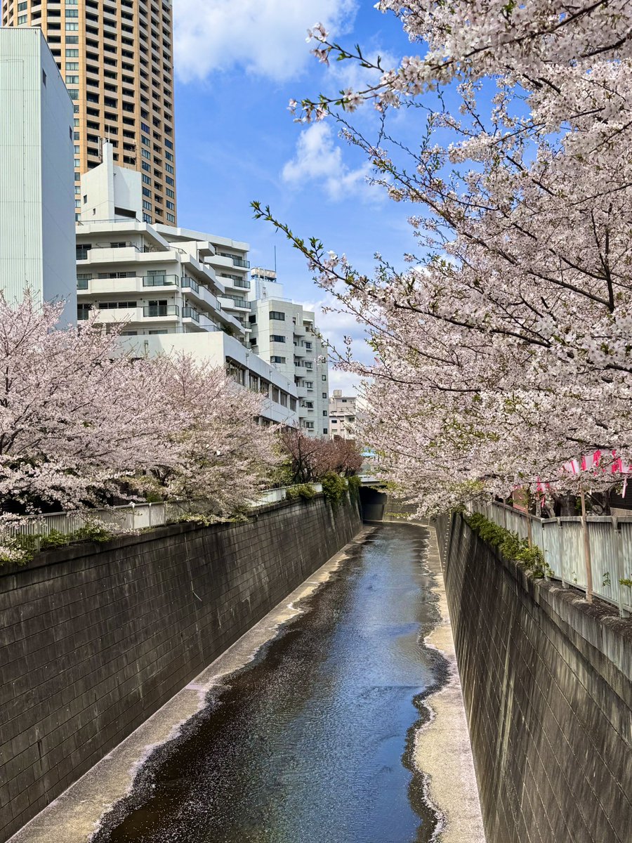 monday_thursday tweet media