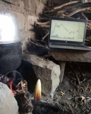 Dr. Trader | Mills (DVM) 🩺📊💰 tweet media