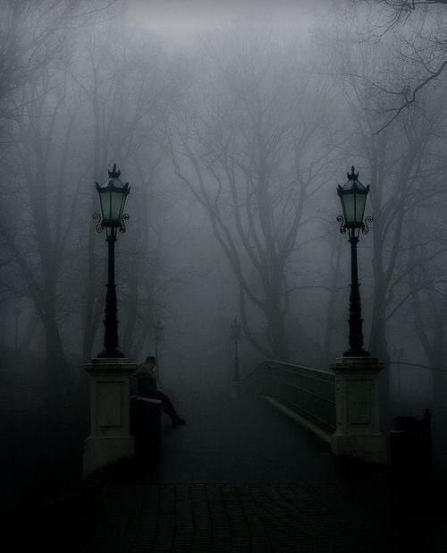 spooky_nature's tweet photo. https://t.co/oRieRIO7hC