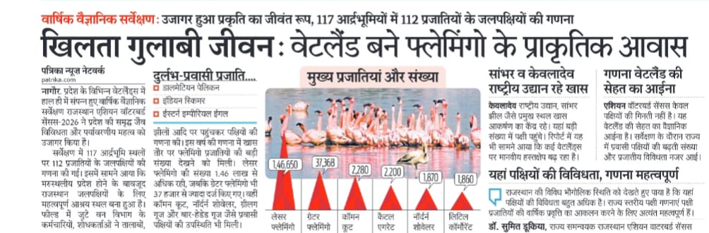 खिलता गुलाबी जीवन: वेटलैंड बने फ्लेमिंगो के प्राकृतिक आवास 

#WetlandsMatter
#Wetlands #Wetland #Conservation #Nature #Biodiversity #ClimateAction #SaveOurWetlands
#WetlandManagement #ramsarconvention #GoGreen
#WeNeedWetlands#Climate #Earth