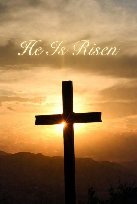 Tommy B. 🇺🇸 tweet media