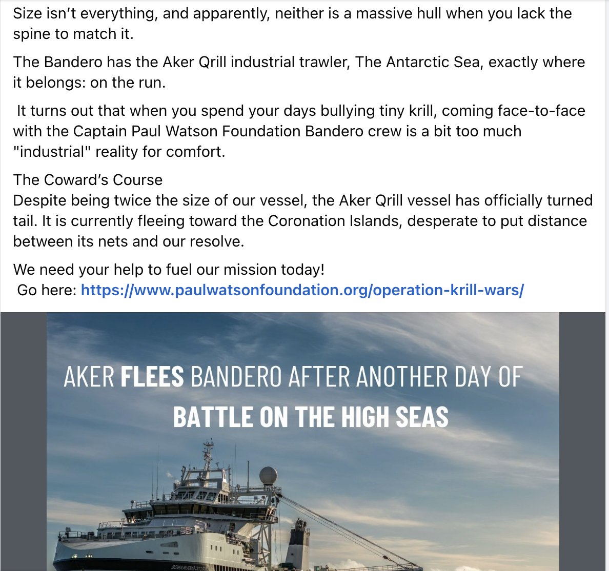 Shark Safety WA tweet media