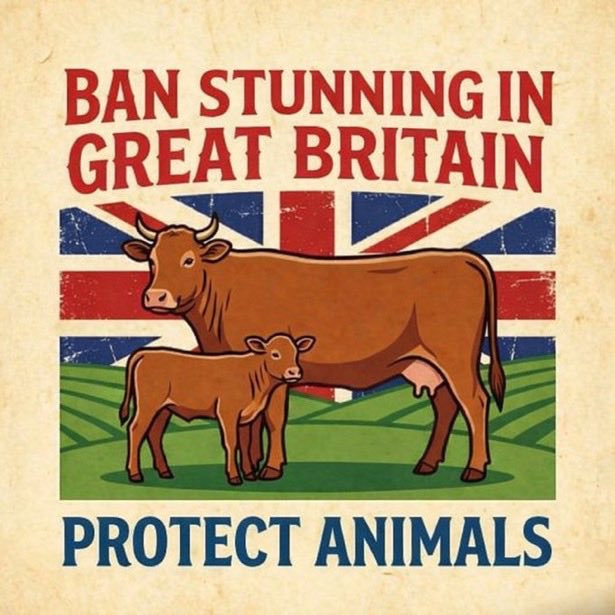 N Ecc 🏴🏴🏴 tweet media