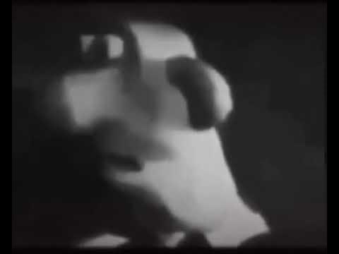 ماجد tweet media