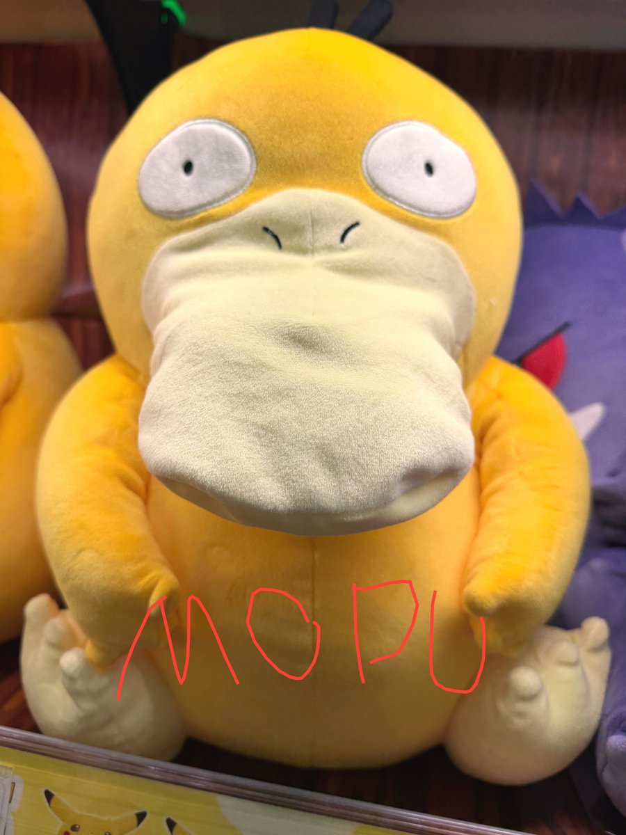 BAY🌊☀️⛵🪝 tweet media