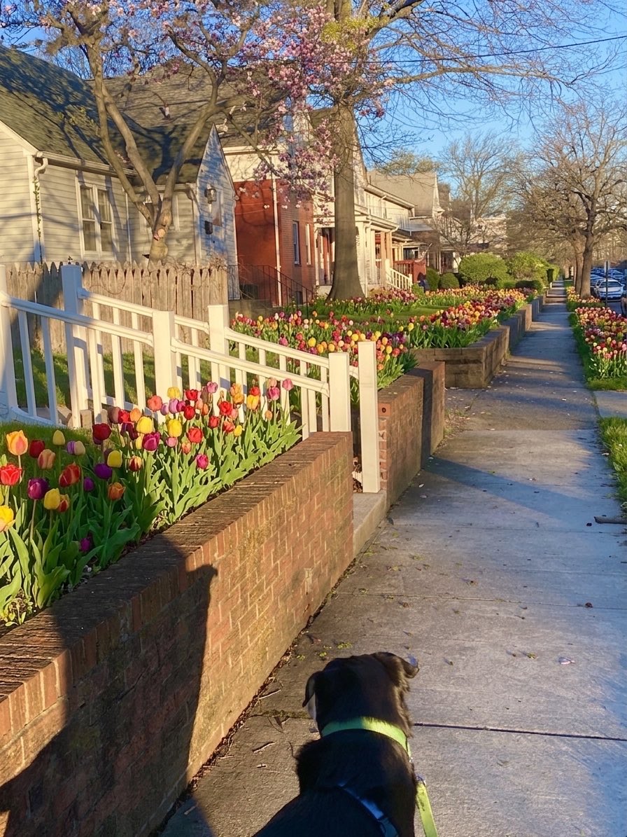 Only in Bucks County tweet media