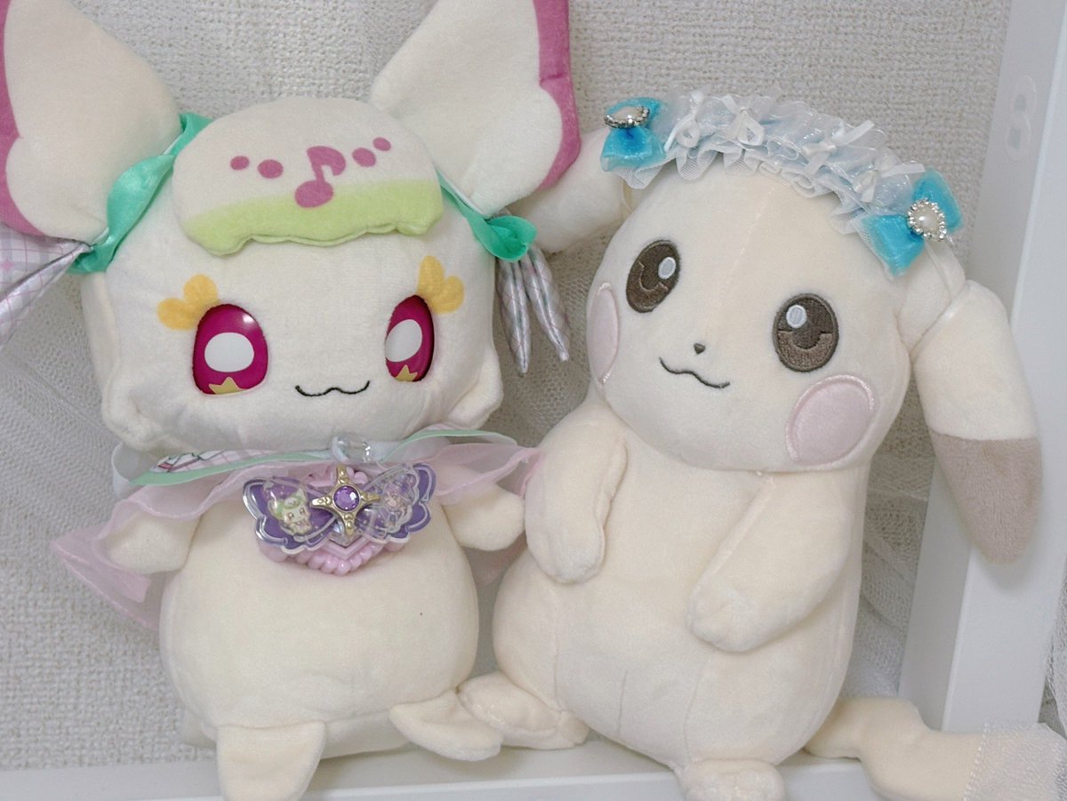 DVホゲータ tweet media