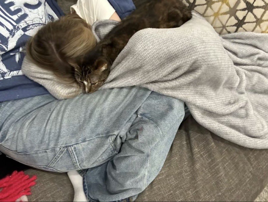 Cosmoᗢ 💜🍂 tweet media